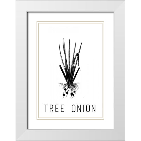 Tree Onion White Modern Wood Framed Art Print with Double Matting by Waltz, Anne
