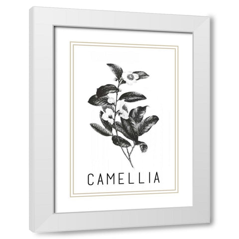 Camella White Modern Wood Framed Art Print with Double Matting by Waltz, Anne