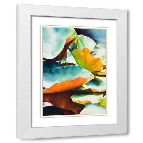 Nymphea 3 White Modern Wood Framed Art Print with Double Matting by Koch, Angelika