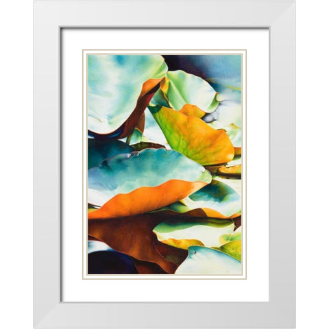 Nymphea 3 White Modern Wood Framed Art Print with Double Matting by Koch, Angelika