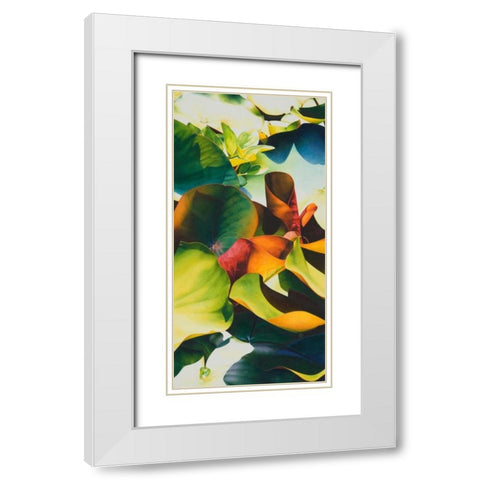 Nymphea 4 White Modern Wood Framed Art Print with Double Matting by Koch, Angelika