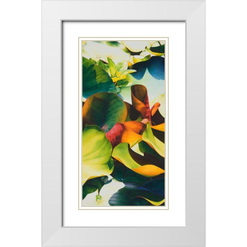Nymphea 4 White Modern Wood Framed Art Print with Double Matting by Koch, Angelika