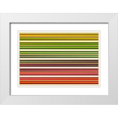 Color Lines I White Modern Wood Framed Art Print with Double Matting by Rossmeissl, Gerhard