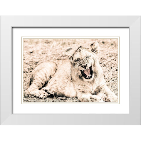 Lion-Baby White Modern Wood Framed Art Print with Double Matting by Seifinger, Toby