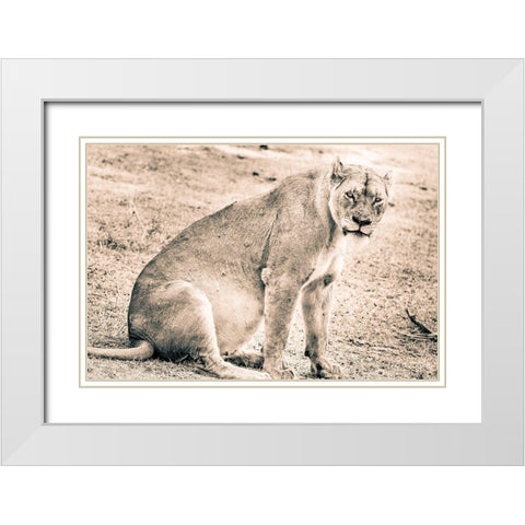 Liom-Mom White Modern Wood Framed Art Print with Double Matting by Seifinger, Toby