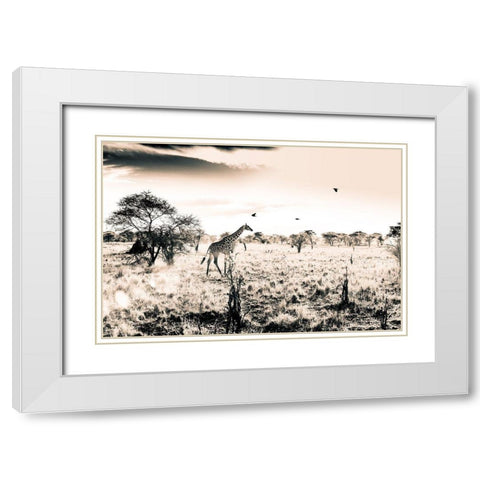 Giraffe White Modern Wood Framed Art Print with Double Matting by Seifinger, Toby