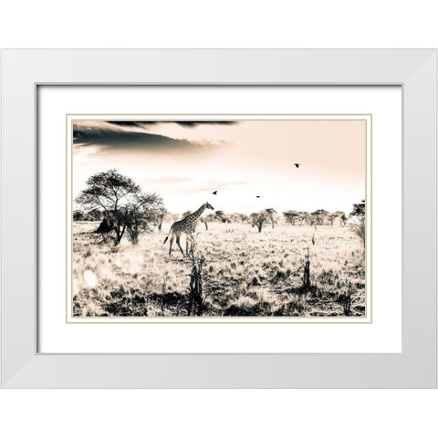 Giraffe White Modern Wood Framed Art Print with Double Matting by Seifinger, Toby