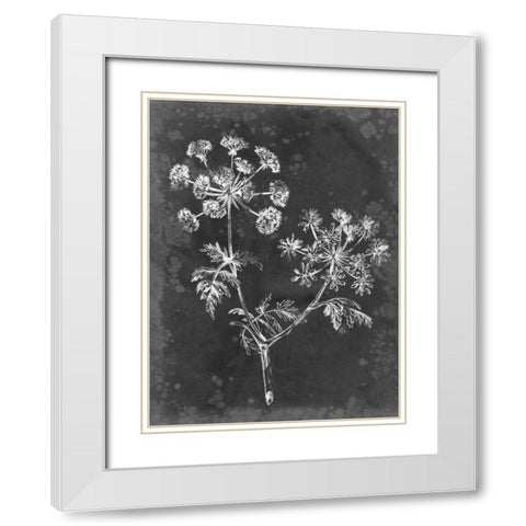 Slate Floral I White Modern Wood Framed Art Print with Double Matting by Harper, Ethan