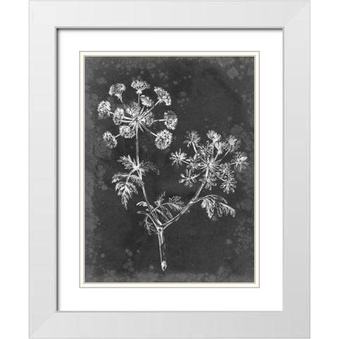 Slate Floral I White Modern Wood Framed Art Print with Double Matting by Harper, Ethan