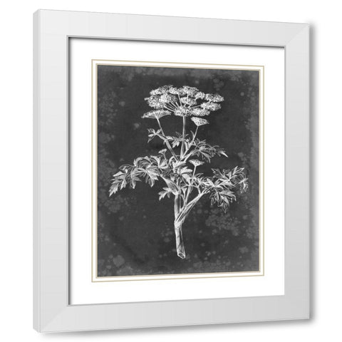 Slate Floral II White Modern Wood Framed Art Print with Double Matting by Harper, Ethan