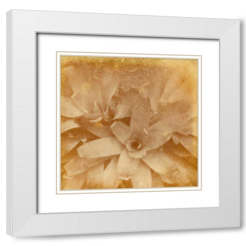 Halia Aloha I White Modern Wood Framed Art Print with Double Matting by Johnson, Jason