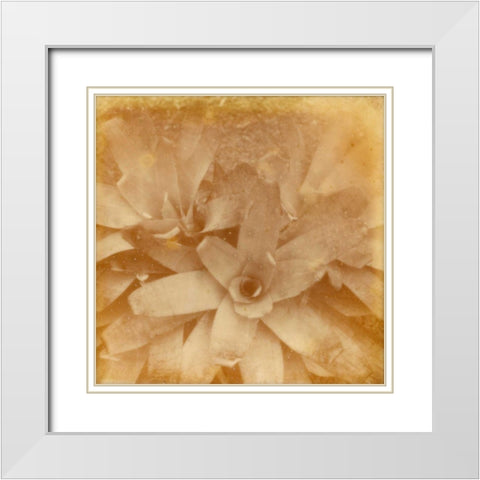 Halia Aloha I White Modern Wood Framed Art Print with Double Matting by Johnson, Jason