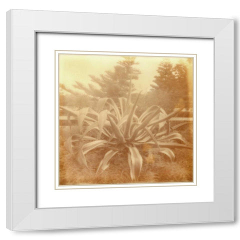 Halia Aloha II White Modern Wood Framed Art Print with Double Matting by Johnson, Jason