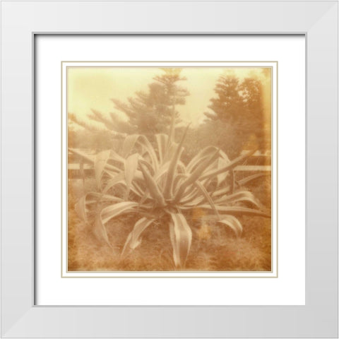 Halia Aloha II White Modern Wood Framed Art Print with Double Matting by Johnson, Jason