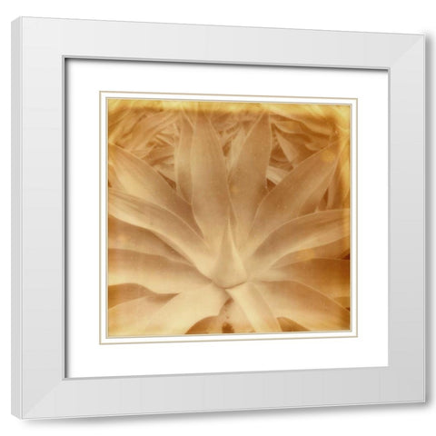Halia Aloha III White Modern Wood Framed Art Print with Double Matting by Johnson, Jason