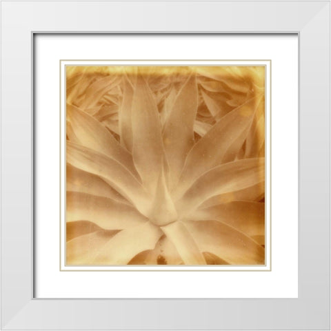 Halia Aloha III White Modern Wood Framed Art Print with Double Matting by Johnson, Jason