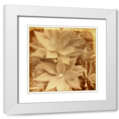 Halia Aloha IV White Modern Wood Framed Art Print with Double Matting by Johnson, Jason