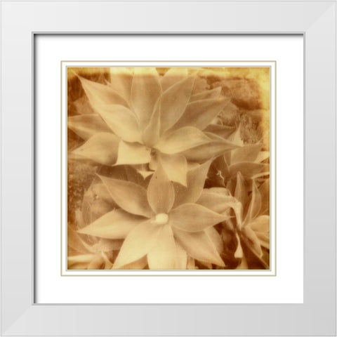 Halia Aloha IV White Modern Wood Framed Art Print with Double Matting by Johnson, Jason