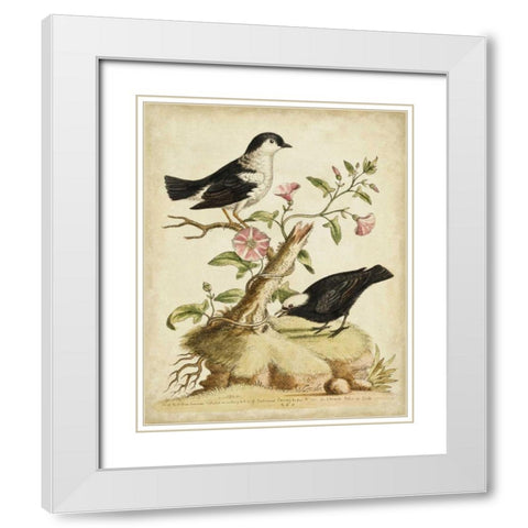 Natural Habitat I White Modern Wood Framed Art Print with Double Matting by Edwards, George