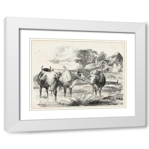 Rural Charms I White Modern Wood Framed Art Print with Double Matting by Unknown