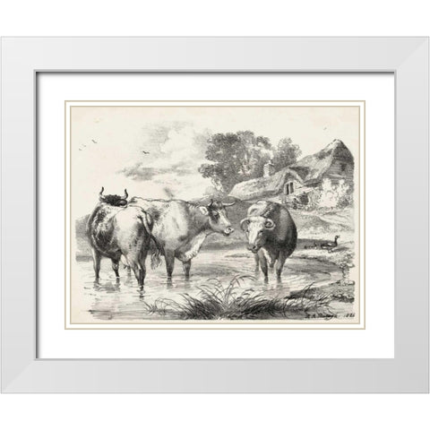 Rural Charms I White Modern Wood Framed Art Print with Double Matting by Unknown