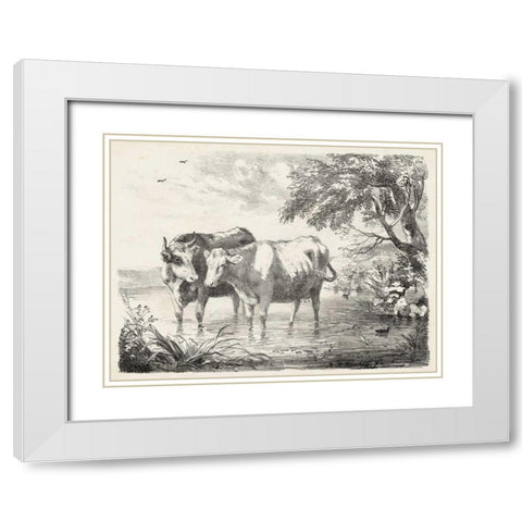 Rural Charms II White Modern Wood Framed Art Print with Double Matting by Unknown