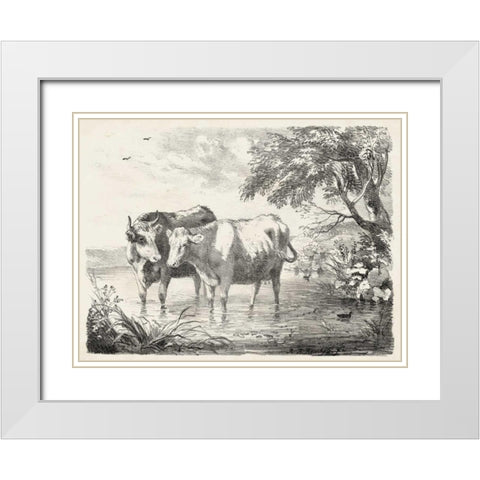 Rural Charms II White Modern Wood Framed Art Print with Double Matting by Unknown