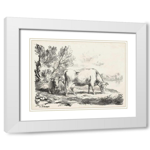 Rural Charms III White Modern Wood Framed Art Print with Double Matting by Unknown