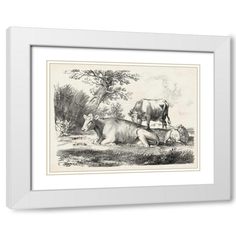 Rural Charms IV White Modern Wood Framed Art Print with Double Matting by Unknown