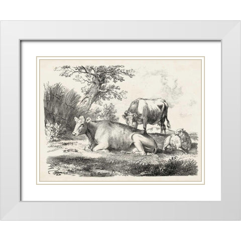 Rural Charms IV White Modern Wood Framed Art Print with Double Matting by Unknown