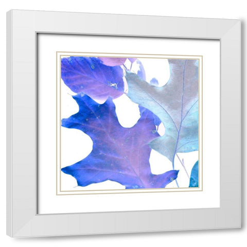 Xray Leaves II White Modern Wood Framed Art Print with Double Matting by Vision Studio