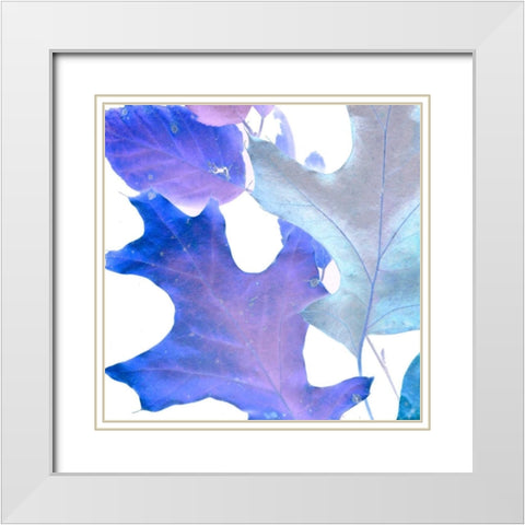 Xray Leaves II White Modern Wood Framed Art Print with Double Matting by Vision Studio