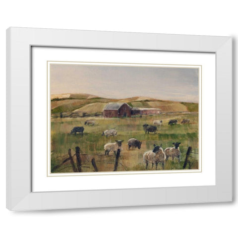 Grazing Sheep II White Modern Wood Framed Art Print with Double Matting by Harper, Ethan