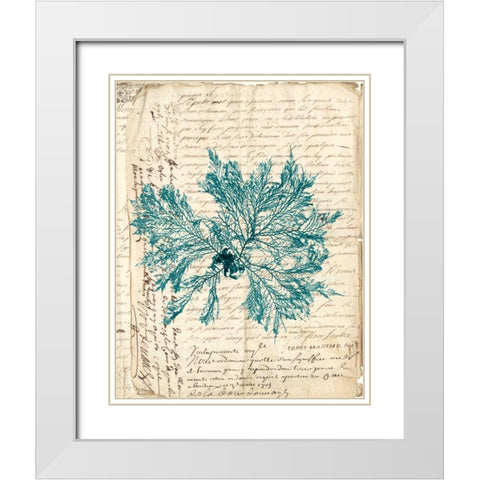 Vintage Teal Seaweed VI White Modern Wood Framed Art Print with Double Matting by Vision Studio