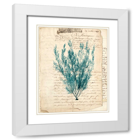 Vintage Teal Seaweed VII White Modern Wood Framed Art Print with Double Matting by Vision Studio