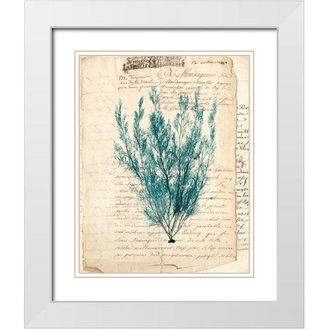 Vintage Teal Seaweed VII White Modern Wood Framed Art Print with Double Matting by Vision Studio