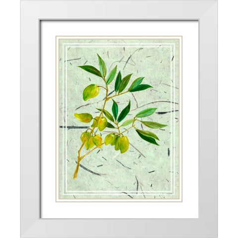 Olives on Textured Paper II White Modern Wood Framed Art Print with Double Matting by Wang, Melissa