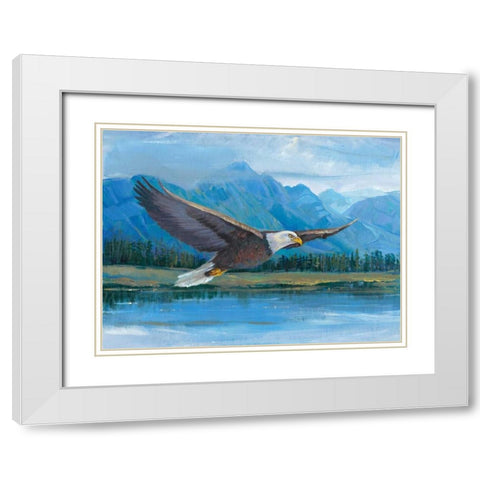 Eagle Soaring White Modern Wood Framed Art Print with Double Matting by OToole, Tim
