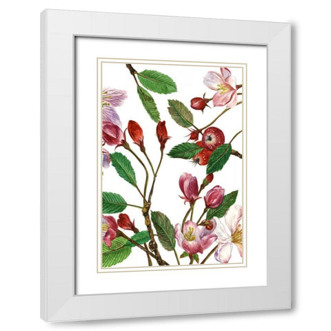Malus Melliana II White Modern Wood Framed Art Print with Double Matting by Wang, Melissa