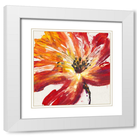 Fleur Rouge II White Modern Wood Framed Art Print with Double Matting by OToole, Tim