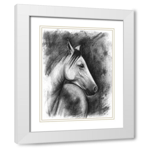 Charcoal Equestrian Portrait I White Modern Wood Framed Art Print with Double Matting by McCavitt, Naomi