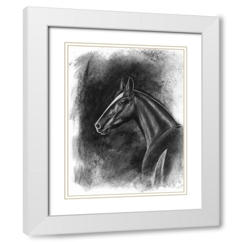 Charcoal Equestrian Portrait II White Modern Wood Framed Art Print with Double Matting by McCavitt, Naomi