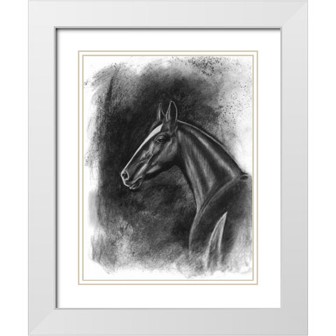 Charcoal Equestrian Portrait II White Modern Wood Framed Art Print with Double Matting by McCavitt, Naomi