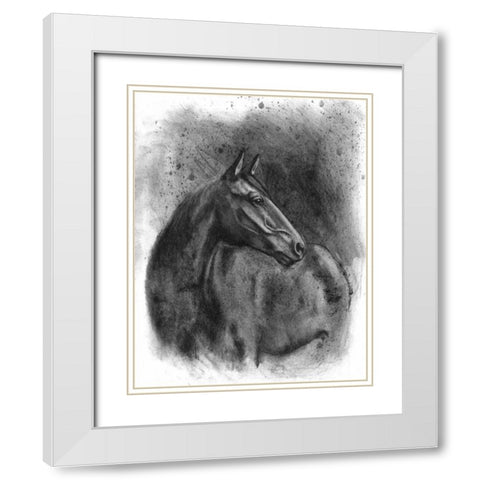 Charcoal Equestrian Portrait III White Modern Wood Framed Art Print with Double Matting by McCavitt, Naomi