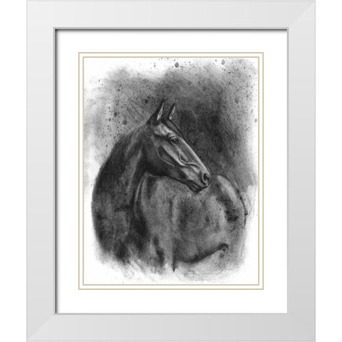 Charcoal Equestrian Portrait III White Modern Wood Framed Art Print with Double Matting by McCavitt, Naomi