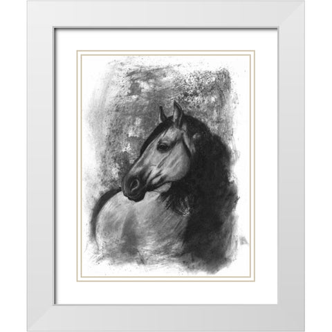 Charcoal Equestrian Portrait IV White Modern Wood Framed Art Print with Double Matting by McCavitt, Naomi