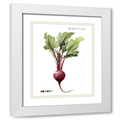 Root Vegetable II White Modern Wood Framed Art Print with Double Matting by Popp, Grace