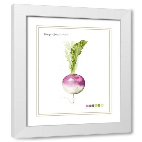 Root Vegetable VI White Modern Wood Framed Art Print with Double Matting by Popp, Grace