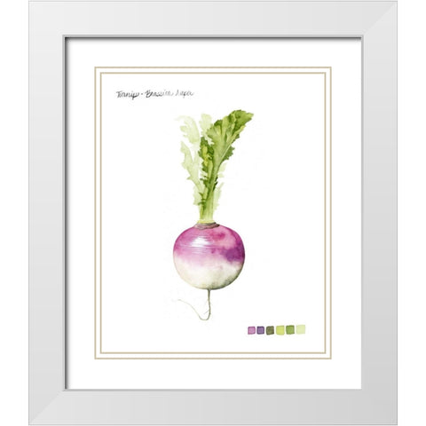 Root Vegetable VI White Modern Wood Framed Art Print with Double Matting by Popp, Grace