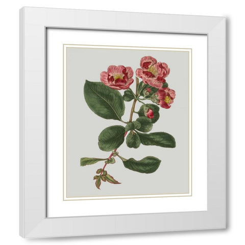 Floral Gems I White Modern Wood Framed Art Print with Double Matting by Vision Studio